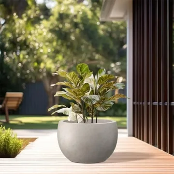 Kante Round Concrete Planter for Indoor & Outdoor Decor