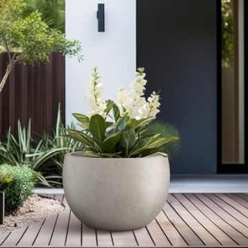 Kante Round Concrete Planter for Indoor & Outdoor Decor