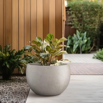 Kante Round Concrete Planter for Indoor & Outdoor Decor