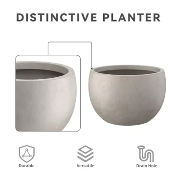 Kante Round Concrete Planter for Indoor & Outdoor Decor