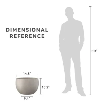 Kante Round Concrete Planter for Indoor & Outdoor Decor