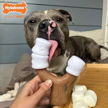 Durable Nylabone Marshmallow Chew Toy for Dogs