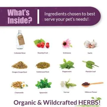 Paxaid Digestive Rescue Herbal Supplement for Dogs