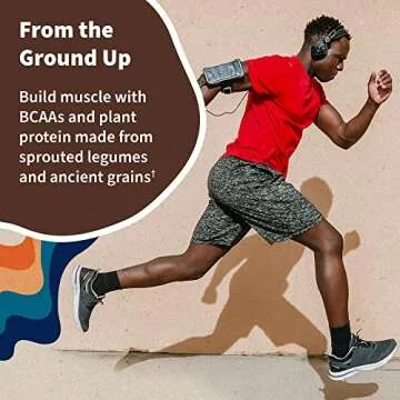 Organic Vegan Chocolate Protein Powder by Garden of Life