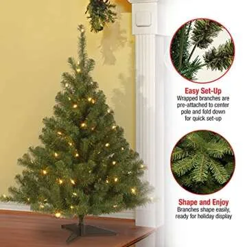 Kincaid Spruce Pre-Lit 4ft Christmas Tree with White Lights