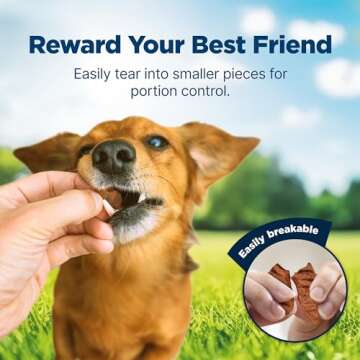 Blue Buffalo Nudges Grillers Natural Dog Treats with Real USA Beef, Made in the USA, Steak, 36-oz Bag