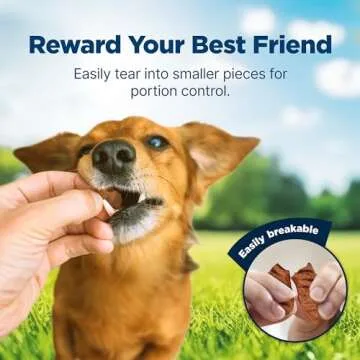 Blue Buffalo Nudges Grillers Natural Dog Treats with Real USA Beef, Made in the USA, Steak, 36-oz Bag