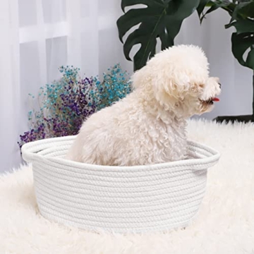 Shop ABenkle Small Woven Basket - Cute Storage Solution