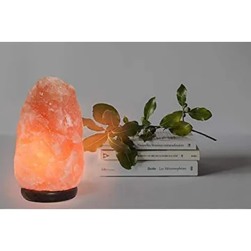 7 Inch Himalayan Salt Lamp - Dimmable Night Light From Pakistan