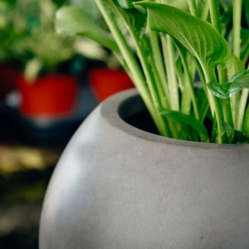 Elegant Ash & Ember Onyx 24" Ceramic Planter for Home Decor