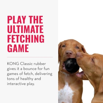 KONG Extreme Ball - Durable Fetch Toy for Aggressive Chewers
