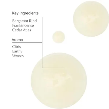 Aesop Shampoo for Shiny and Soft Hair | 16.9 oz