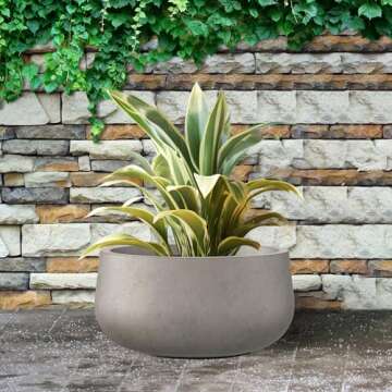 Kante 15.7" Dia Round Concrete Planter, Outdoor Indoor Garden Plant Pots with Drainage Hole and Rubber Plug, Modern Curvaceous Design, Weathered Concrete
