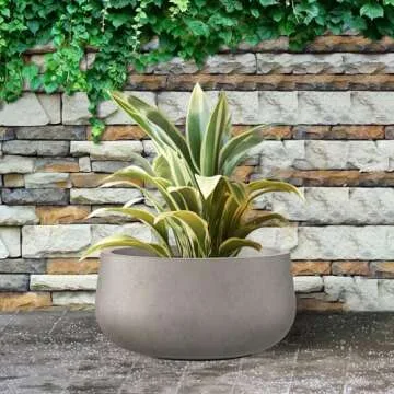 Kante 15.7" Dia Round Concrete Planter, Outdoor Indoor Garden Plant Pots with Drainage Hole and Rubber Plug, Modern Curvaceous Design, Weathered Concrete