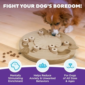 Advanced Dog Puzzle Toy by Outward Hound for Smart Dogs