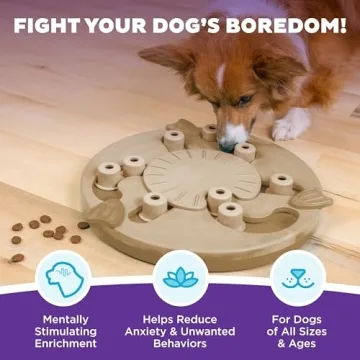 Advanced Dog Puzzle Toy by Outward Hound for Smart Dogs