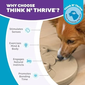 Advanced Dog Puzzle Toy by Outward Hound for Smart Dogs