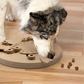 Advanced Dog Puzzle Toy by Outward Hound for Smart Dogs