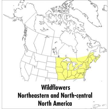 A Peterson Field Guide To Wildflowers: Northeastern and North-central North America (Peterson Field ...