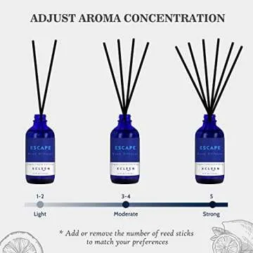 XCLEEN Reed Diffuser Set - 6 Reed Sticks Home Fragrance