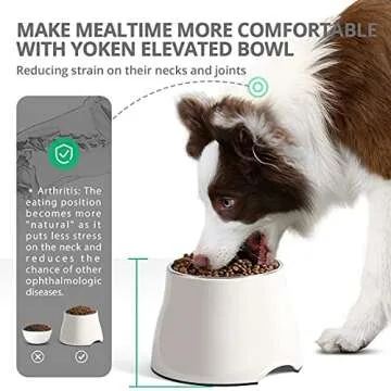 yoken Elevated Dog Bowls - Ergonomic Non-Slip Dog Bowl Set for Comfortable Feeding