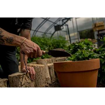 Barebones Garden Scoop - Garden Spoon - Stainless Steel Small Hand Shovel for Transplanting, Digging, and Planting - Great Home Gardening Hand Tools (Walnut/Black)