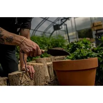 Barebones Garden Scoop - Garden Spoon - Stainless Steel Small Hand Shovel for Transplanting, Digging, and Planting - Great Home Gardening Hand Tools (Walnut/Black)