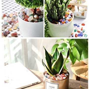 Hilitchi Natural Quartz Stones Vibrant Decorative Gravel 1lb