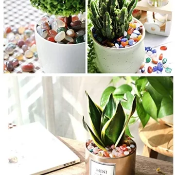 Hilitchi Natural Quartz Stones Vibrant Decorative Gravel 1lb