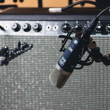 Roswell Pro Audio Mini K87 Large Diaphragm Condenser Microphone