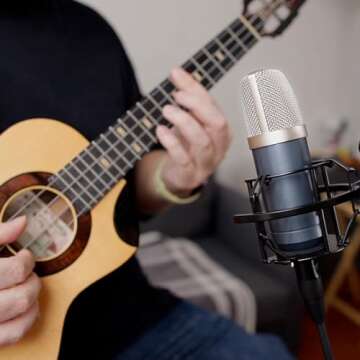 Roswell Pro Audio Mini K87 Large Diaphragm Condenser Microphone