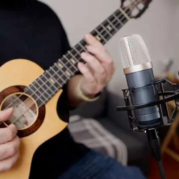 Roswell Pro Audio Mini K87 Large Diaphragm Condenser Microphone