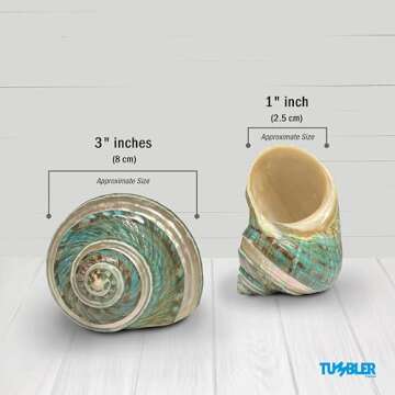 Tumbler Home Large Turbo Shell for Crafting and Decor