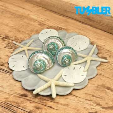 Tumbler Home Large Turbo Shell for Crafting and Decor