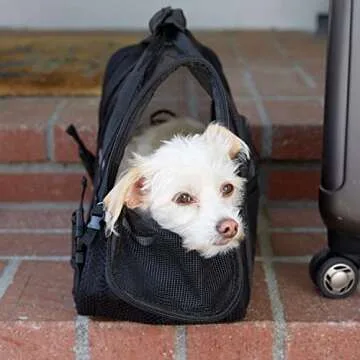 Paws & Pals Airline Approved Pet Carrier - Soft-Sided Carriers for Small Medium Cats and Dogs Air-Plane Travel On-Board Under Seat Carrying Bag with Fleece Bolster Bed for Kitten Cat Puppy Dog Taxi