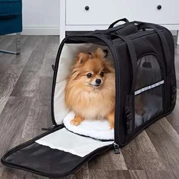 Paws & Pals Airline Approved Pet Carrier - Soft-Sided Carriers for Small Medium Cats and Dogs Air-Plane Travel On-Board Under Seat Carrying Bag with Fleece Bolster Bed for Kitten Cat Puppy Dog Taxi