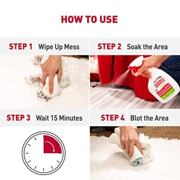 Nature's Miracle Dog Stain and Odor Eliminator 24 fl oz