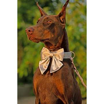 Unique style paws Silk Champagne Color Dog Collar Adjustable Durable Dog Collar with Bow Wedding Bow tie Dog Collar for Medium Dogs