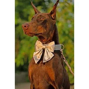 Unique style paws Silk Champagne Color Dog Collar Adjustable Durable Dog Collar with Bow Wedding Bow tie Dog Collar for Medium Dogs