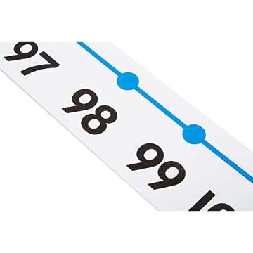 hand2mind -20 to 100 Integer Number Line for Classroom Wall, Math Borders Classroom Bulletin, Number...