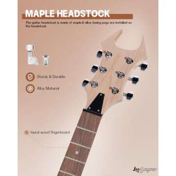Leo Jaymz DIY Electric Guitar Kits with Mahogany Body