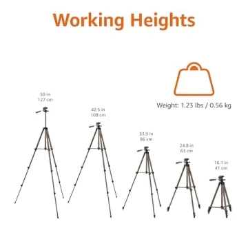 Affordable Portable Tripod for Travel Photography