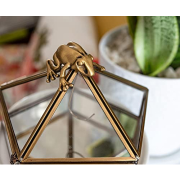 Harry Potter Gold Chocolate Frog Jewelry Box for Fans