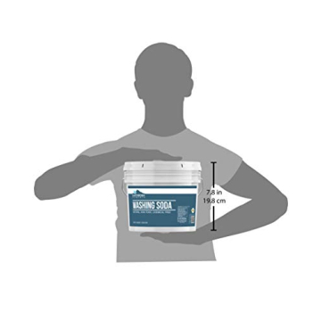 Earthborn Elements Washing Soda Multipurpose Cleaner 1 Gallon