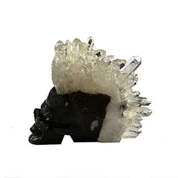 MOSOAO Healing Crystal Stone Human Reiki Skull Figurine Statue Sculptures Natural Hand Carved Quartz Crystal Cluster Point Skull 2"
