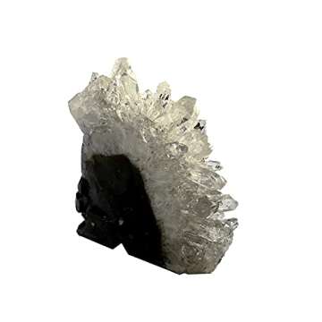 MOSOAO Healing Crystal Stone Human Reiki Skull Figurine Statue Sculptures Natural Hand Carved Quartz Crystal Cluster Point Skull 2"