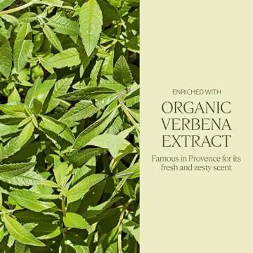 L'OCCITANE Shea Butter Extra-Gentle Solid Hand & Body Soap: Citrusy Shea Verbena, Relaxing Shea Lavender, Shea Milk, Vegetable Based, Artisanal, Vegan