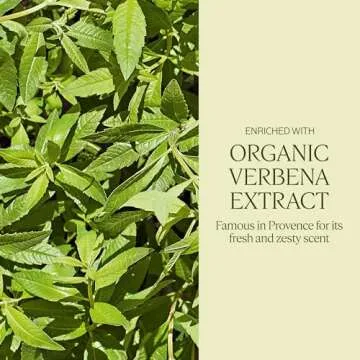 L'OCCITANE Shea Butter Extra-Gentle Solid Hand & Body Soap: Citrusy Shea Verbena, Relaxing Shea Lavender, Shea Milk, Vegetable Based, Artisanal, Vegan