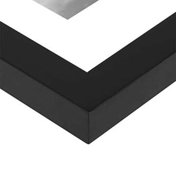 ONE WALL 16x20 Inch Floating Frame, Black Wood Double Glass Float Picture Frame Display 16x20/11x14 Inch Photos or Plant or Petal Specimens for Wall Hanging - Mounting Accessories Included