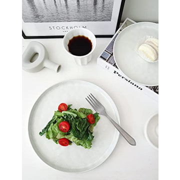 Famiware Mars Dinner Plates Set - Durable and Elegant